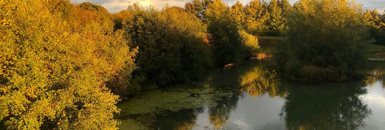 Hintlesham Fisheries