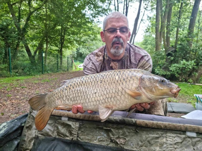 Hintlesham Fisheries