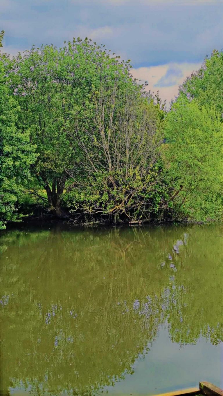 Hintlesham Fisheries