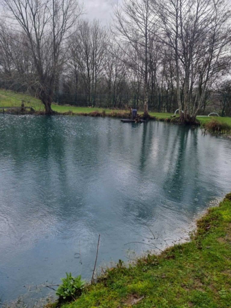 Hintlesham Fisheries