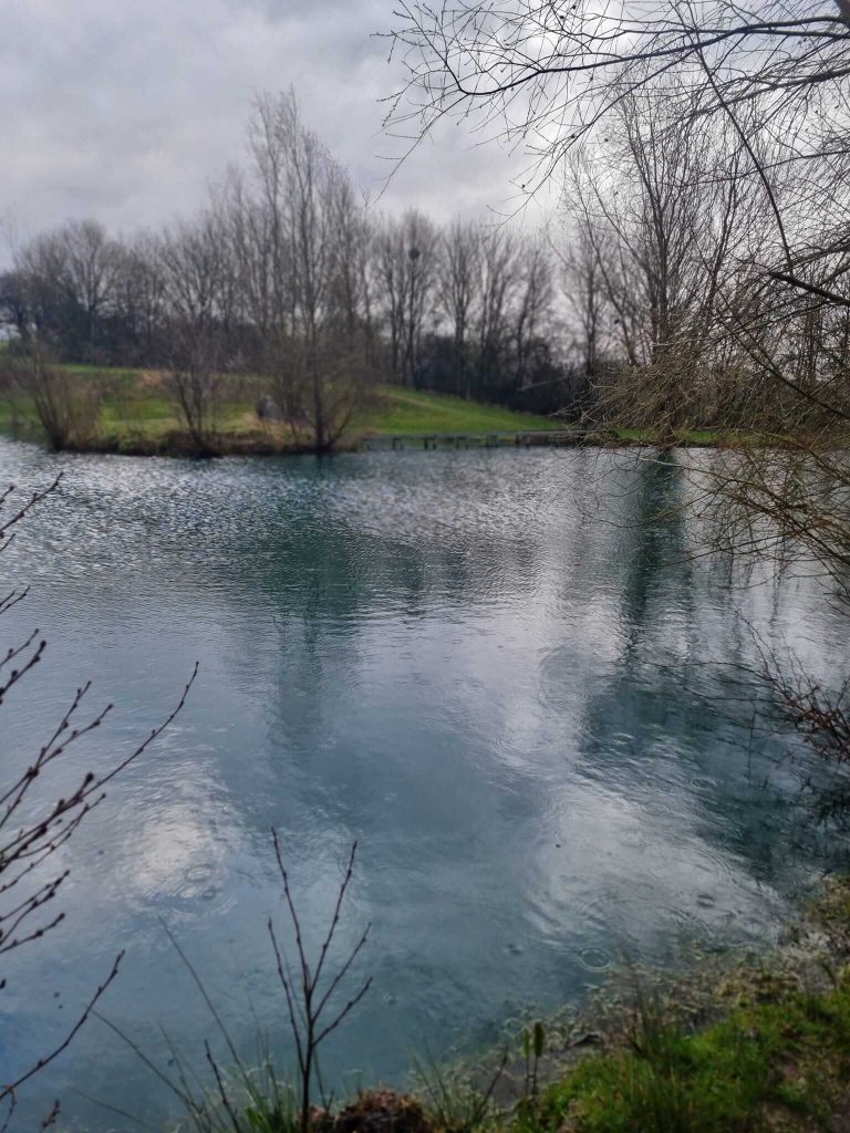 Hintlesham Fisheries