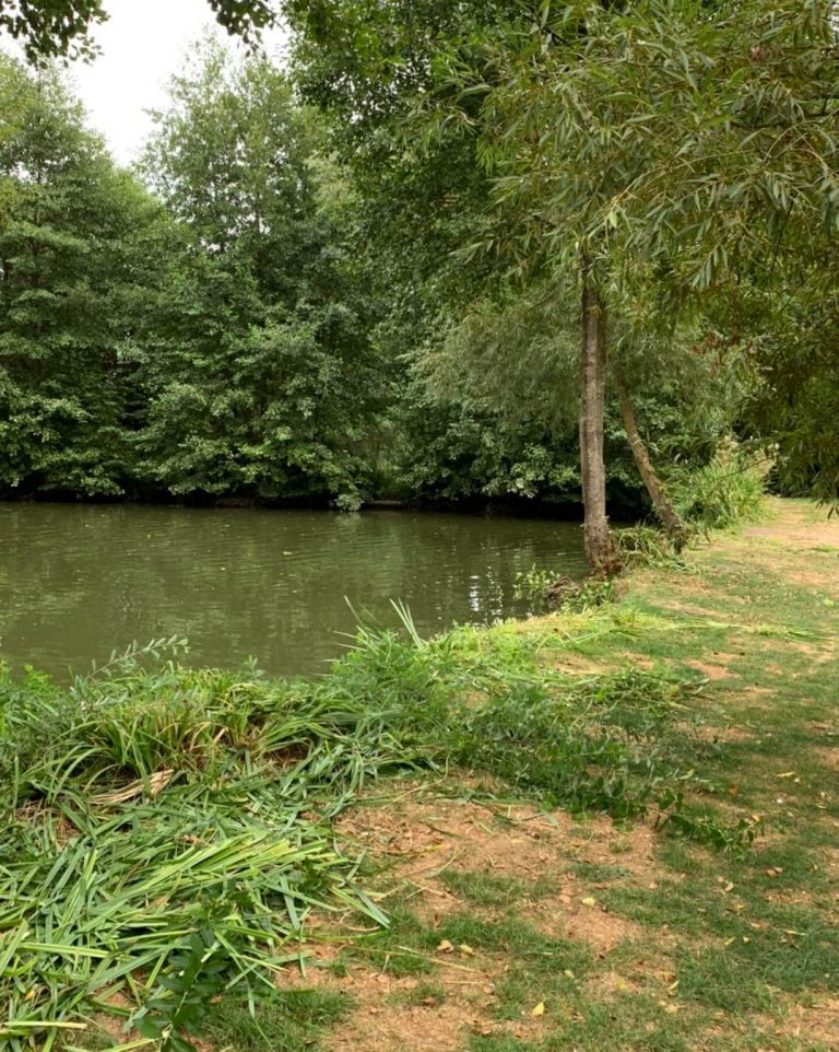 Hintlesham Fisheries