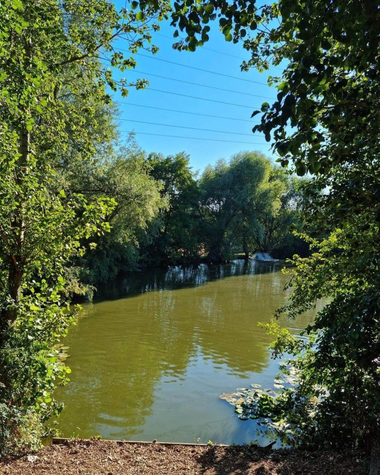 Hintlesham Fisheries